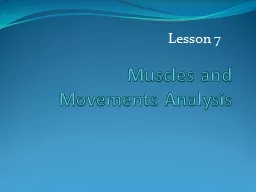 Muscles and Movements Analysis