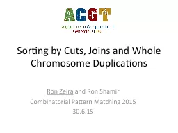 Sorting by Cuts, Joins and Whole Chromosome Duplications