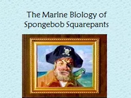 The Marine Biology of