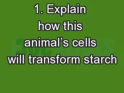 1. Explain how this animal’s cells will transform starch