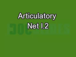 Articulatory Net I.2