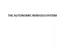 THE AUTONOMIC NERVOUS