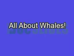 All About Whales!