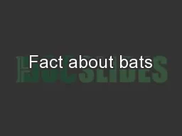 Fact about bats