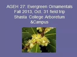AGEH 27: Evergreen Ornamentals