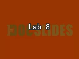 Lab  8
