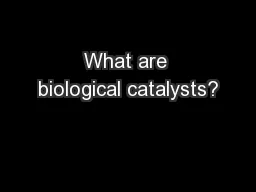 What are biological catalysts?
