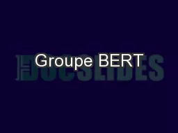 Groupe BERT