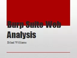 Burp Suite Web Analysis