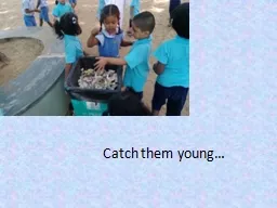 Catch them young…