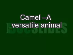 Camel –A versatile animal