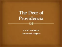 The Deer of Providencia