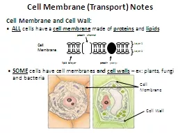 Cell Membrane (Transport) Notes