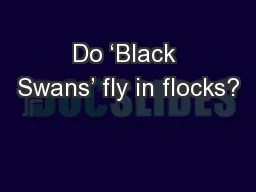 Do ‘Black Swans’ fly in flocks?