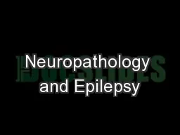 Neuropathology and Epilepsy