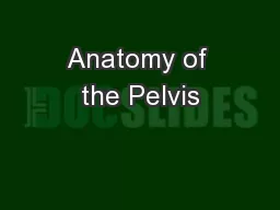 Anatomy of the Pelvis