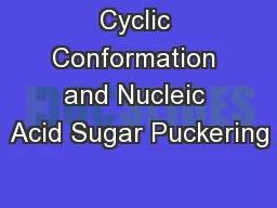 Cyclic Conformation and Nucleic Acid Sugar Puckering