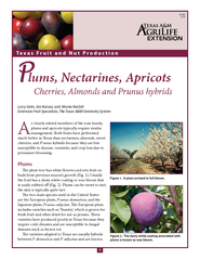 lums Nectarines Apricots Cherries Almonds and Prunus h