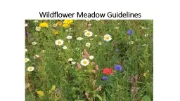 Wildflower Meadow Guidelines