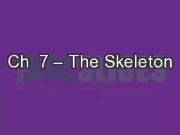 Ch  7 – The Skeleton