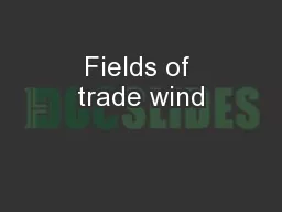 Fields of trade wind