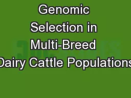Genomic Selection in Multi-Breed Dairy Cattle Populations