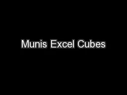 Munis Excel Cubes
