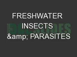 FRESHWATER INSECTS & PARASITES