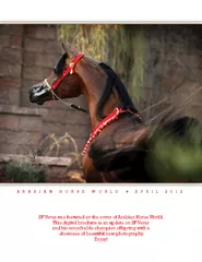 ARABIAN HORSE WORLD APRIL   Patti and Mike Scheier es