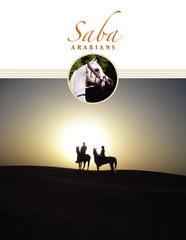 Saba ARABIANS  SABA WORLD  n a lovely rural area in Sy