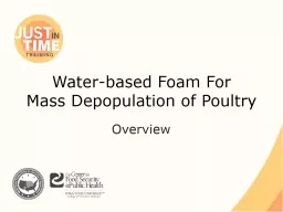 Water-based Foam For