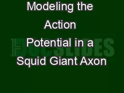 Modeling the Action Potential in a Squid Giant Axon