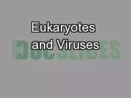Eukaryotes and Viruses