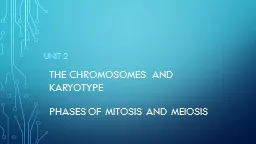 The Chromosomes and karyotype
