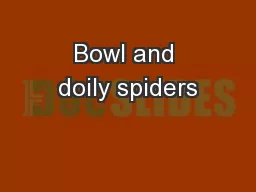 Bowl and doily spiders