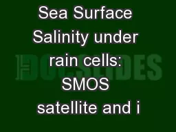 Sea Surface Salinity under rain cells: SMOS satellite and i