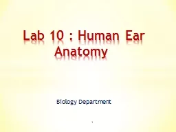 Biology Department