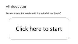 All about bugs
