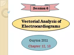 Vectorial Analysis of  Electrocardiograms