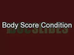 Body Score Condition