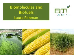 Biomolecules and Biofuels