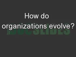 How do organizations evolve?