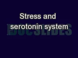 Stress and serotonin system