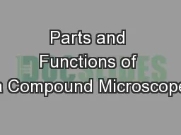 Parts and Functions of a Compound Microscope