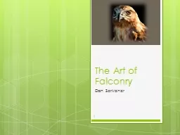 The Art of Falconry
