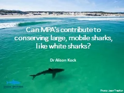 Can MPA's contribute to conserving large, mobile sharks, li