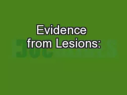 Evidence from Lesions: