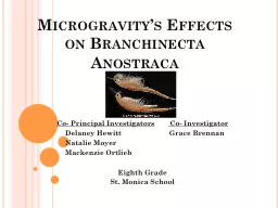 Microgravity’s Effects on Branchinecta Anostraca