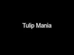 Tulip Mania