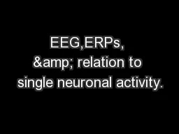 EEG,ERPs, & relation to single neuronal activity.